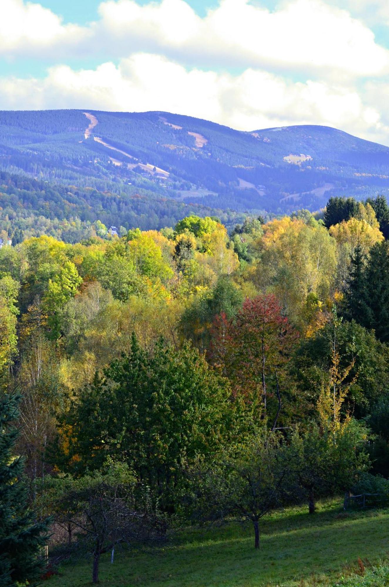 Vista 14 Lägenhet Rokytnice nad Jizerou Exteriör bild